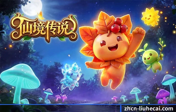 澳门六合彩 APP 深度功能
